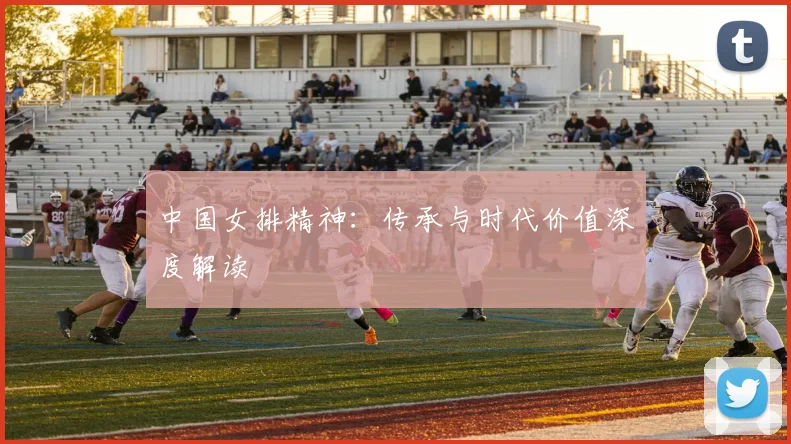 中国女排精神：传承与时代价值深度解读